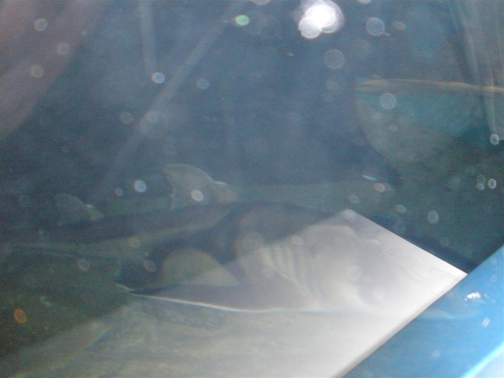 p7280299.jpg