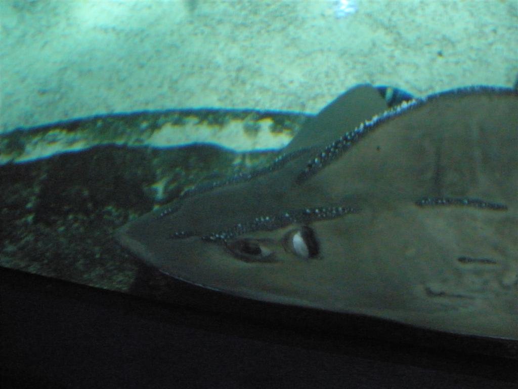 p7280301.jpg