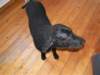 pict0117_small.jpg