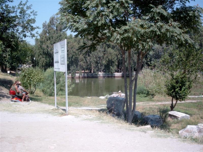 simg1289.jpg