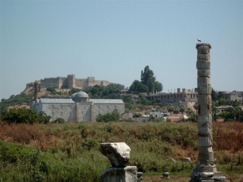 simg1291.jpg