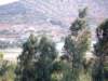 simg1338_small.jpg