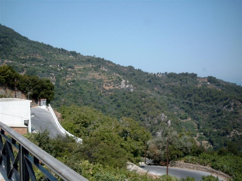 simg1345.jpg