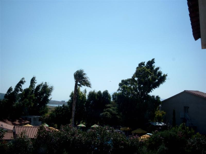 simg1362.jpg