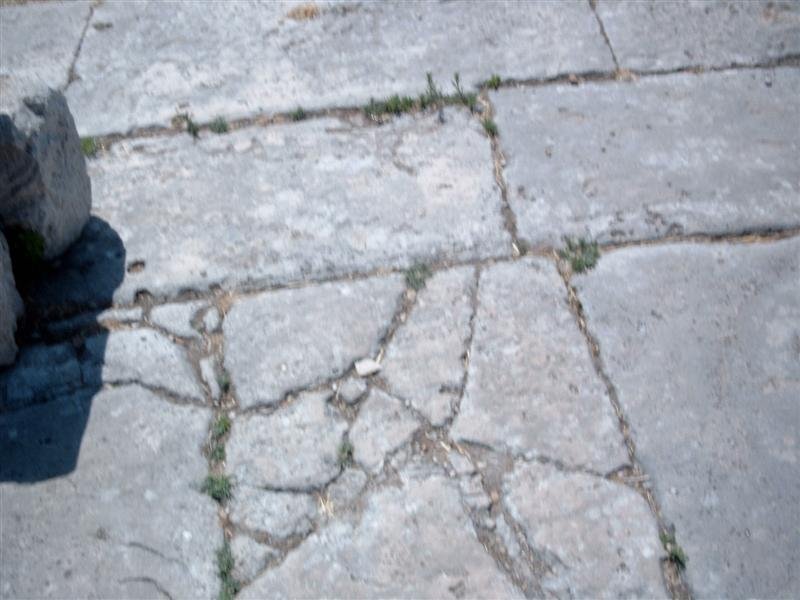 simg1377.jpg