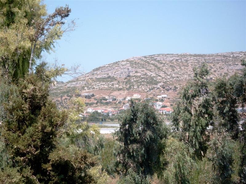 simg1387.jpg