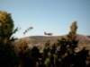 simg1412_small.jpg