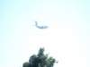 simg1424_small.jpg