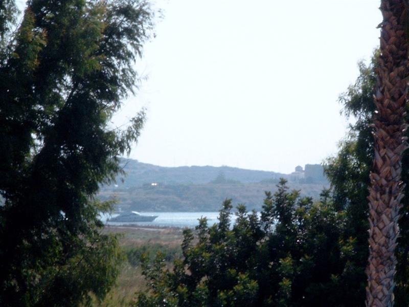 simg1426.jpg