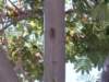 simg1443_small.jpg