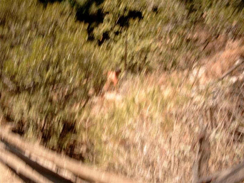 simg1460.jpg
