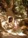 simg1464_small.jpg