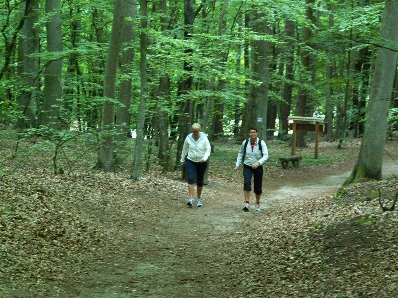 pict0504.jpg