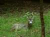 pict0511_small.jpg