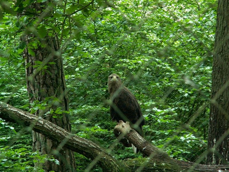 pict0514.jpg
