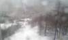 imag0165_small.jpg