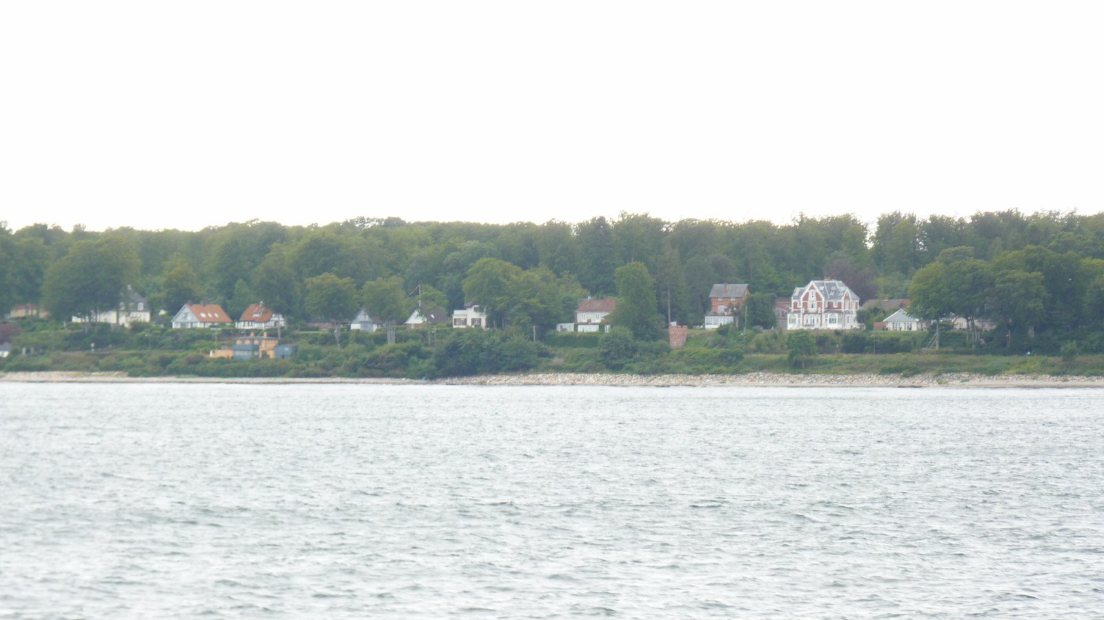photo11.jpg
