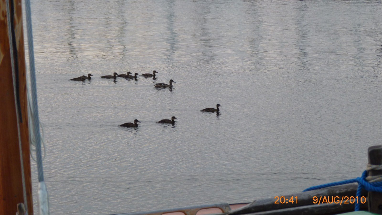 photo296.jpg