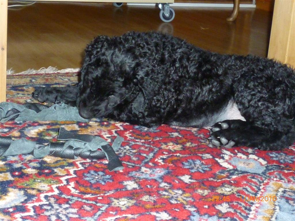 photo10.jpg