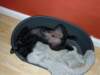 photo100_small.jpg