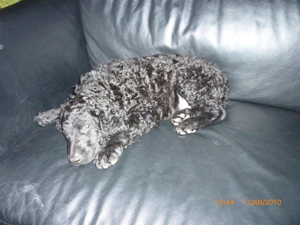 photo12.jpg