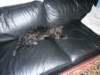 photo14_small.jpg