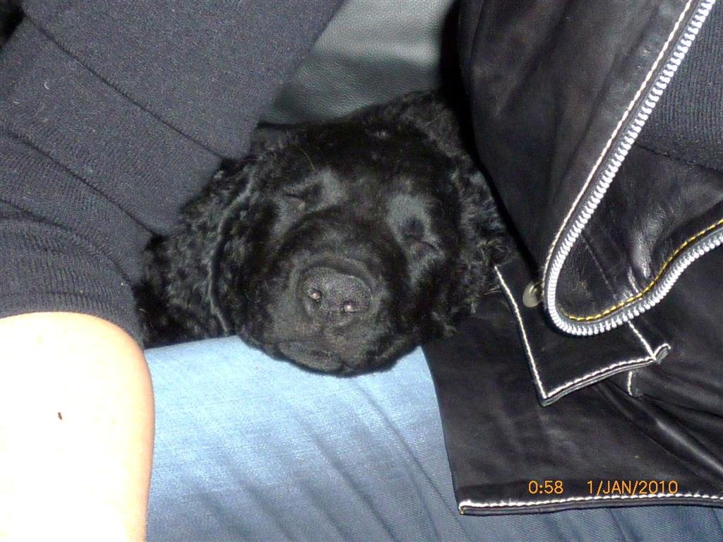 photo16.jpg
