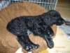 photo20_small.jpg