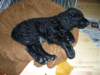 photo21_small.jpg