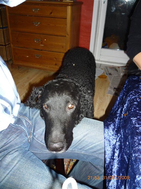 photo30.jpg
