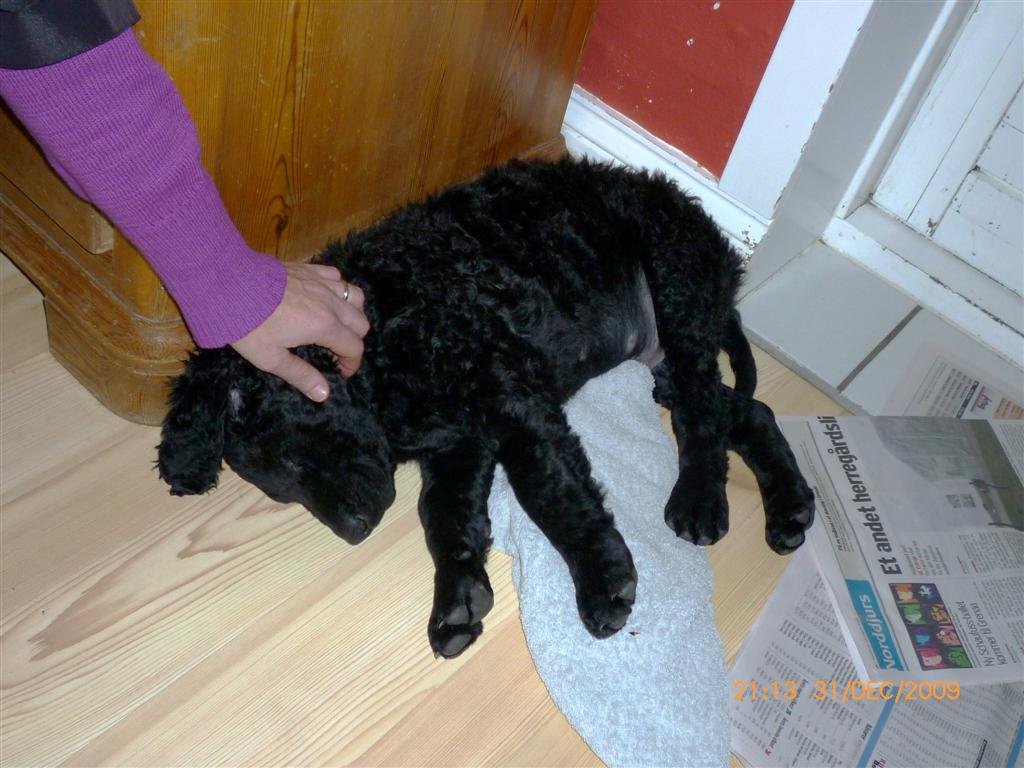 photo35.jpg