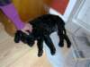 photo35_small.jpg