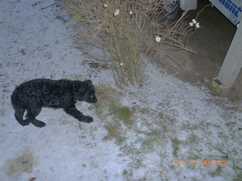 photo40.jpg