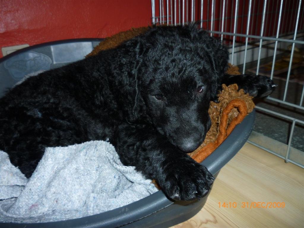 photo48.jpg