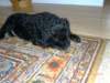 photo53_small.jpg
