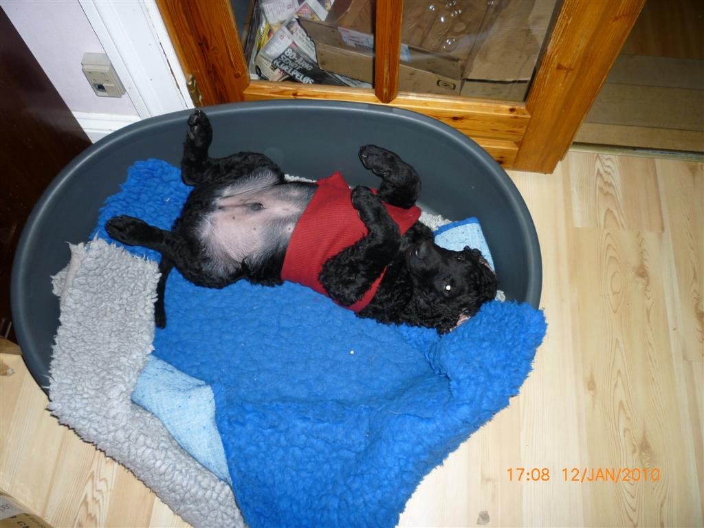 photo54.jpg