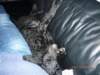 photo79_small.jpg