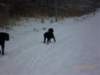 photo88_small.jpg