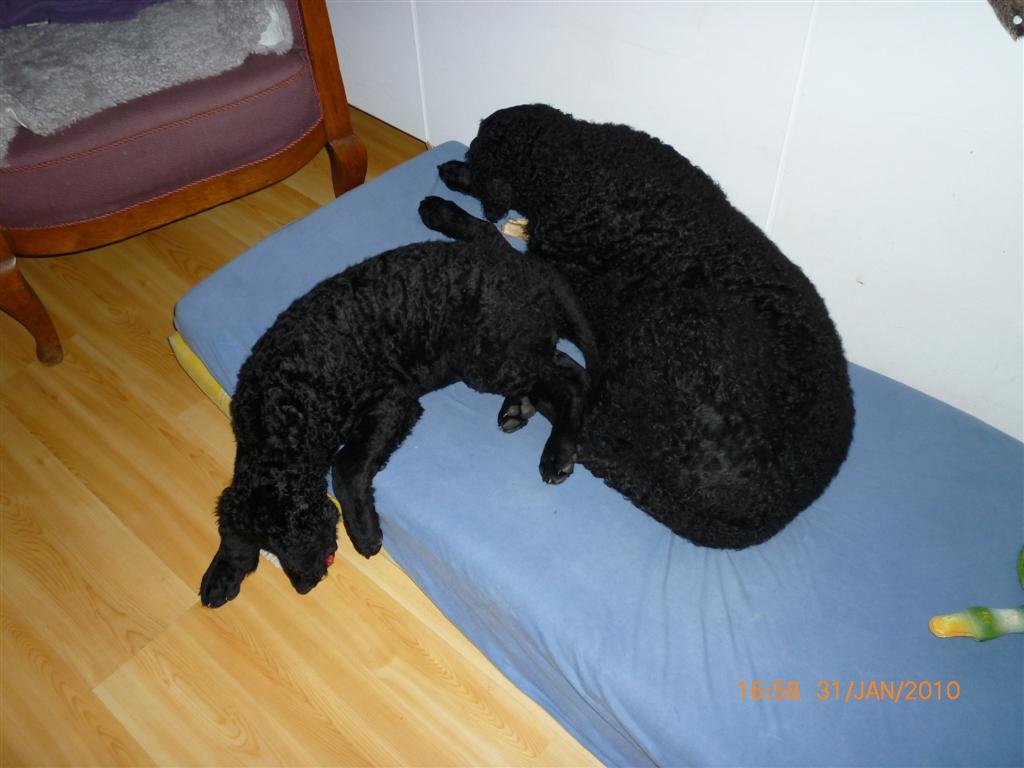 photo90.jpg