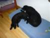 photo90_small.jpg
