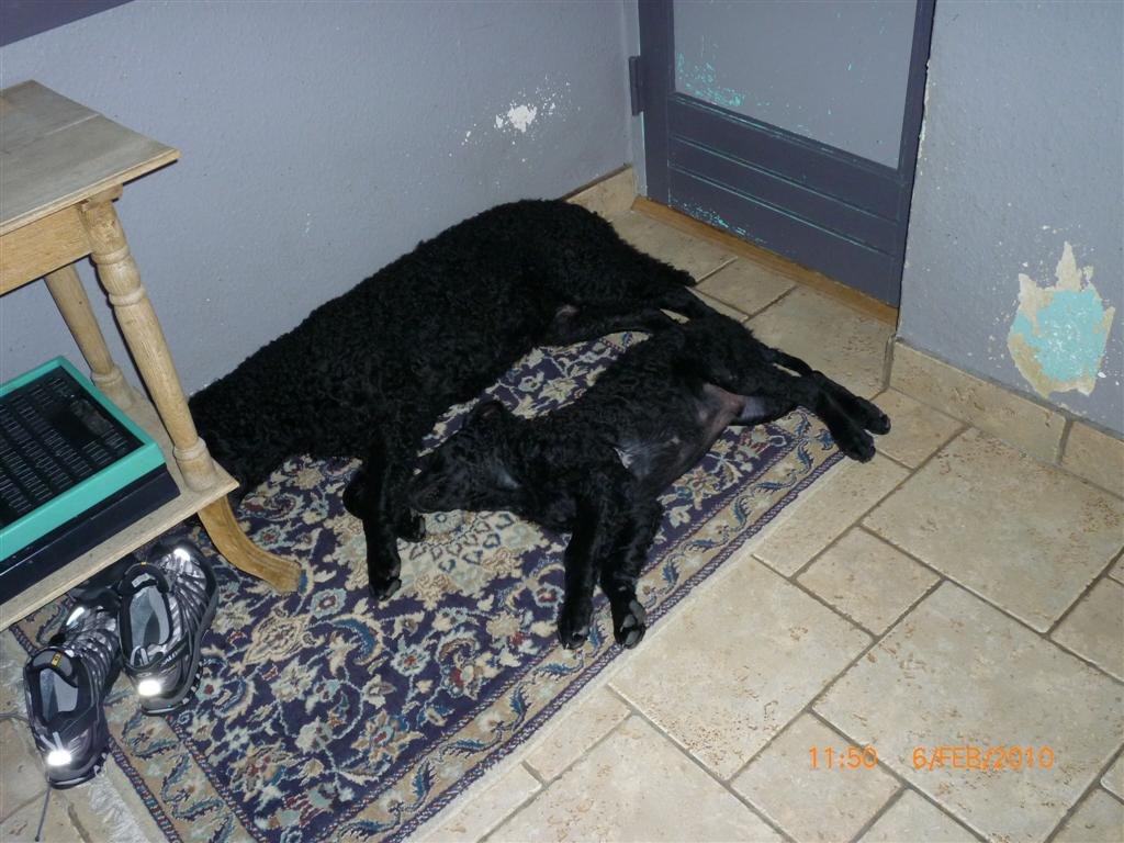 photo95.jpg
