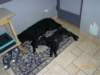 photo95_small.jpg