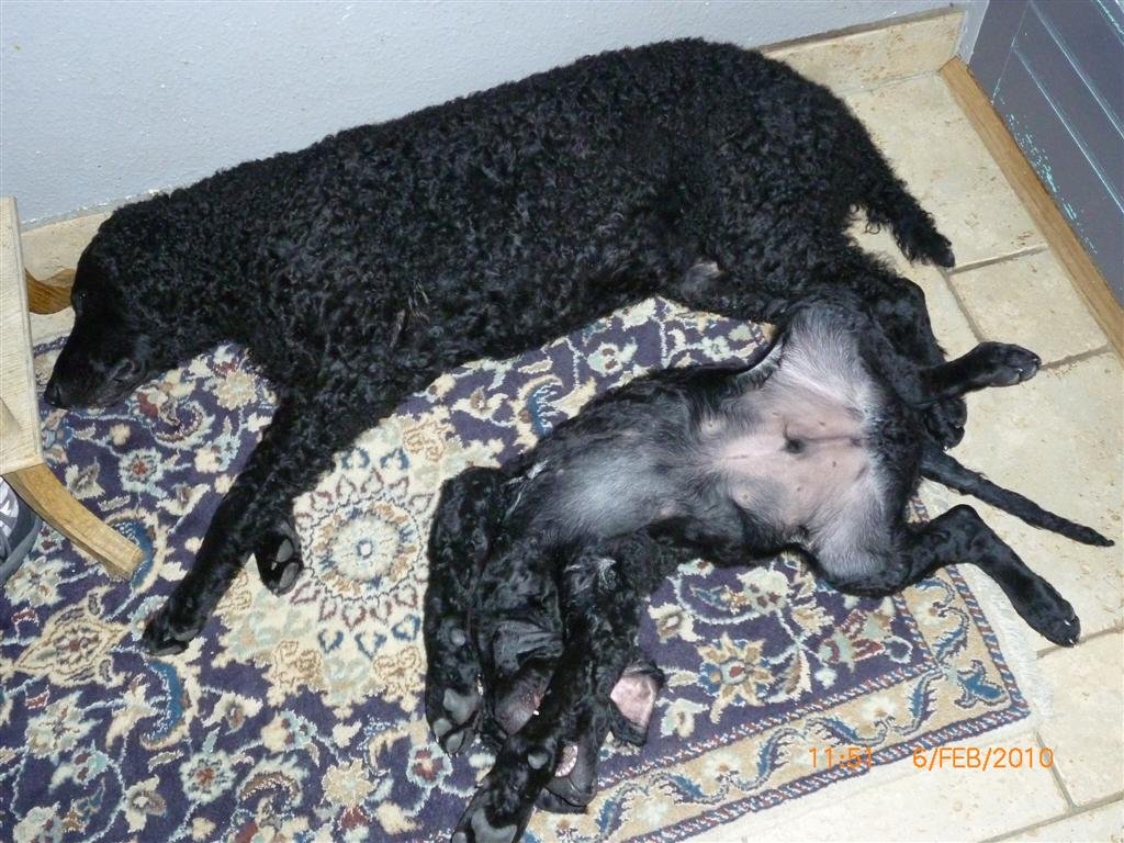 photo98.jpg