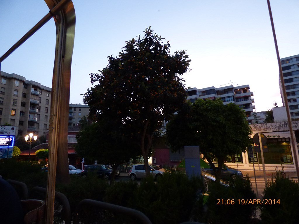 photo140.jpg