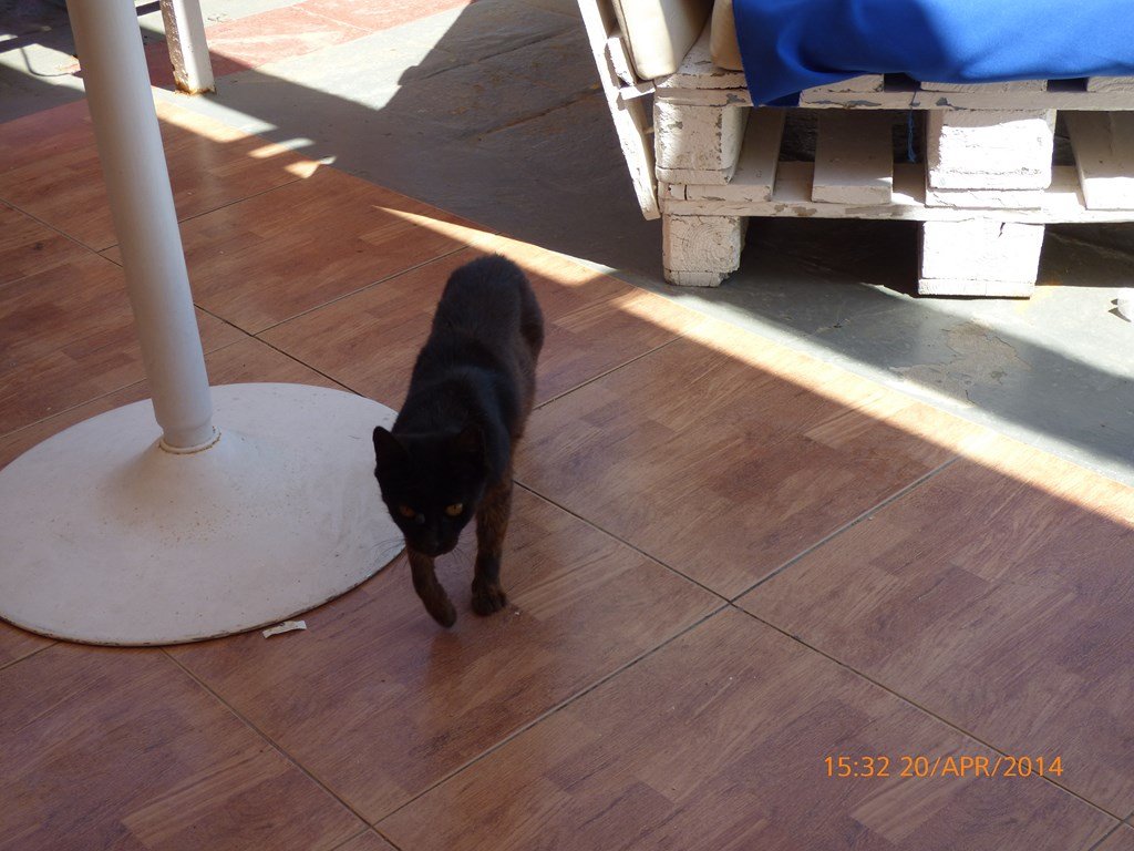 photo146.jpg
