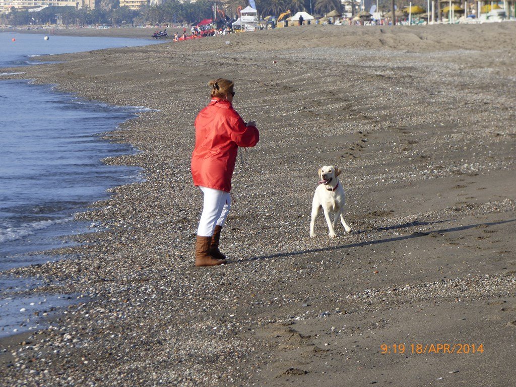 photo16.jpg