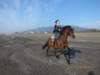 photo20_small.jpg