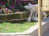 photo360_small.jpg