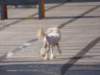 photo361_small.jpg