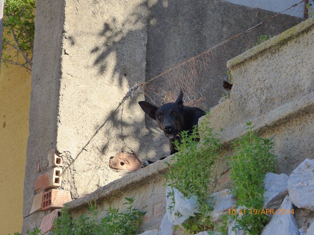 photo77.jpg